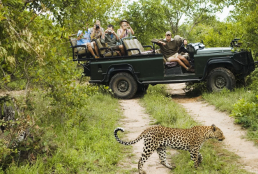 south-africa